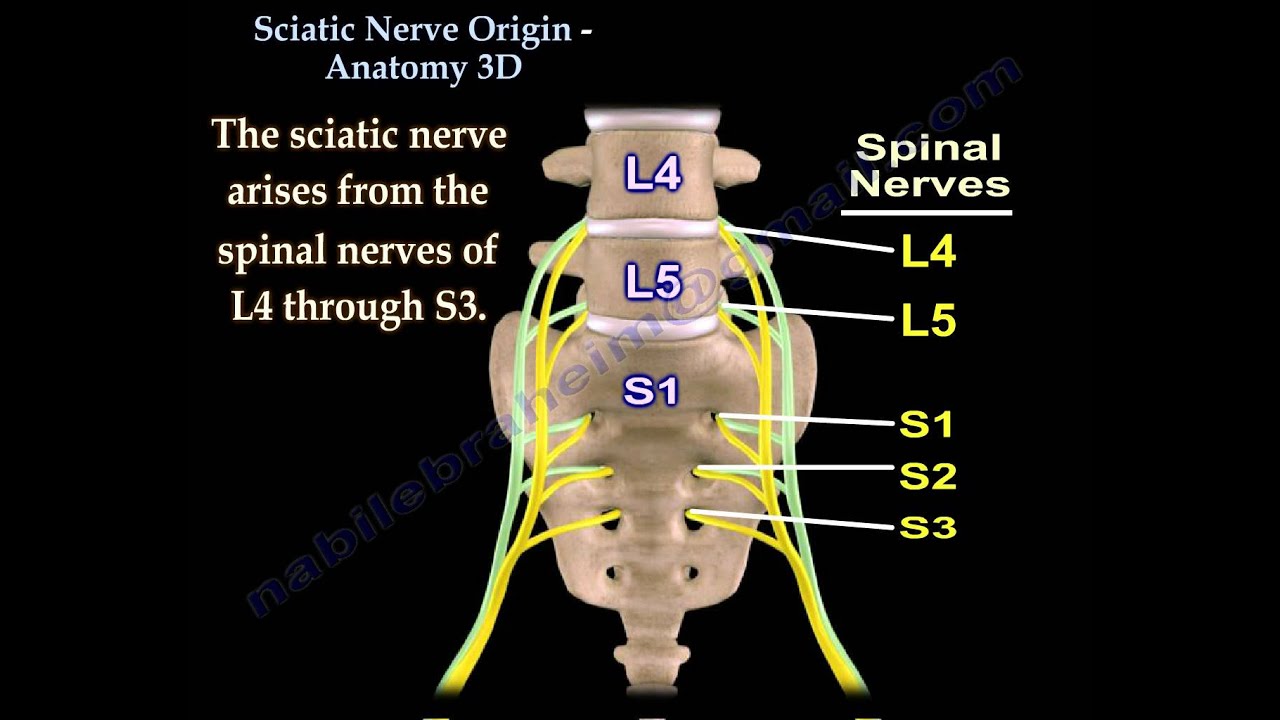 inversion-therapy-for-sciatica-being-straight-strong-and-healthy-by